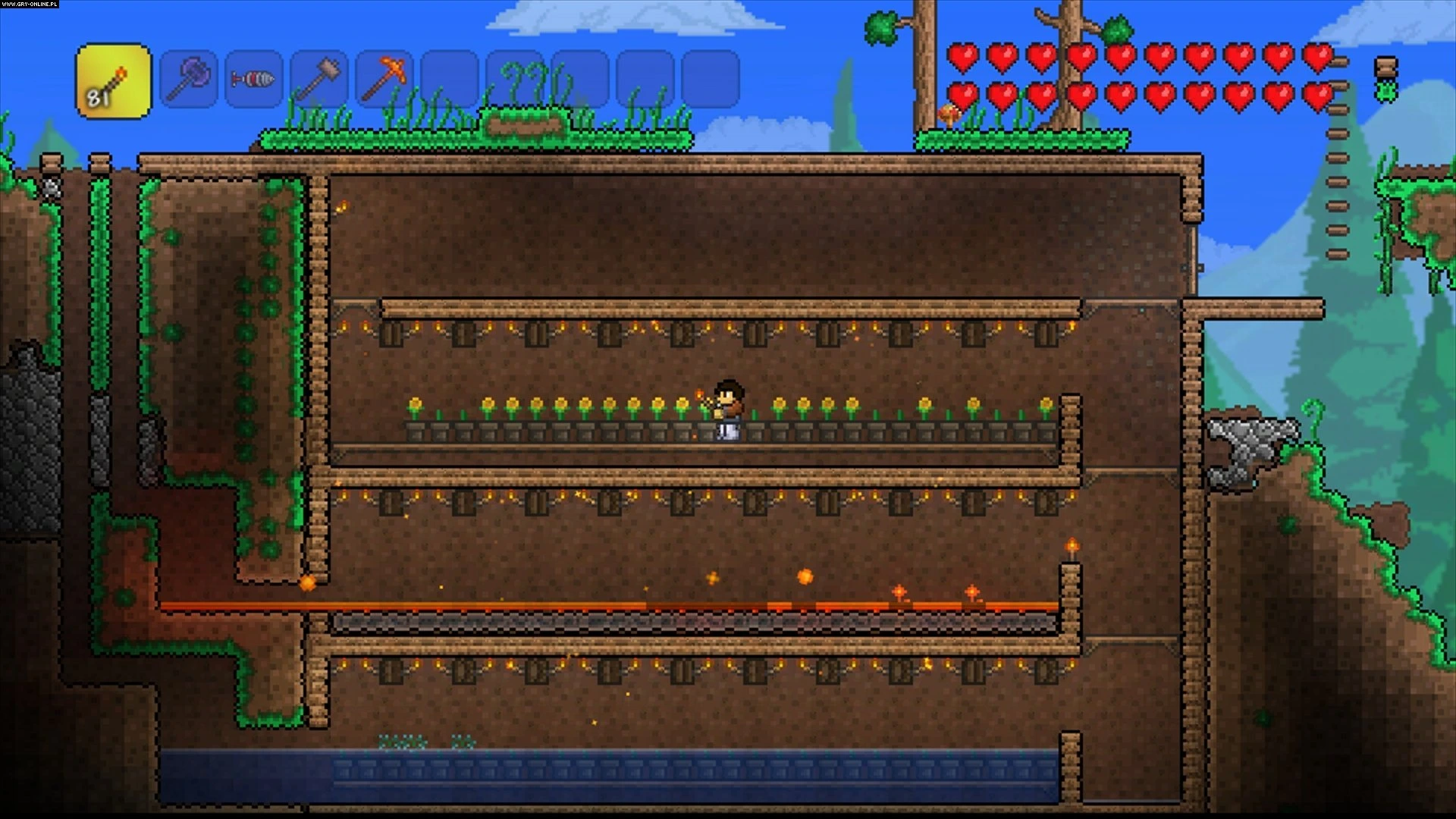 Terraria Télécharger