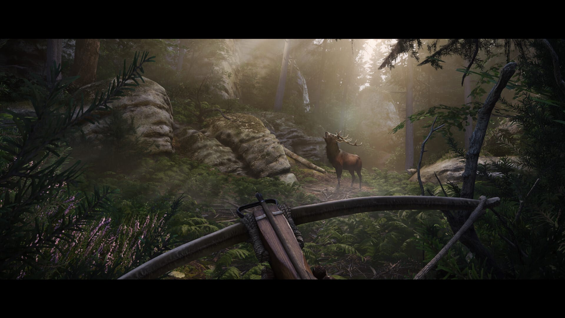 Kingdom Come Deliverance II Télécharger